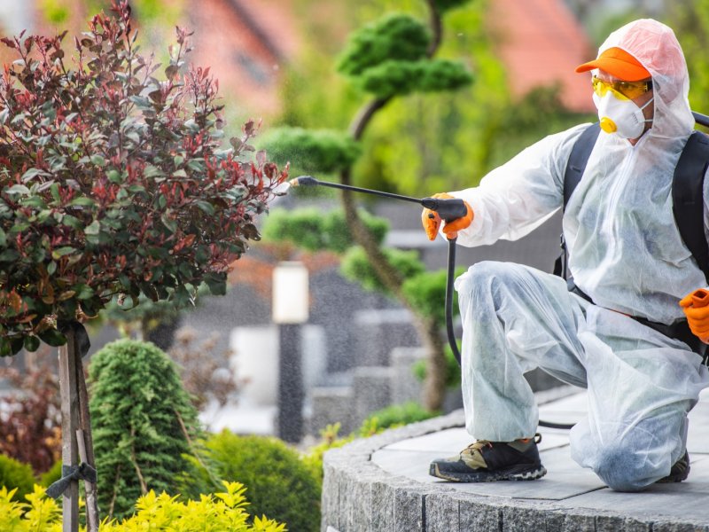 Sivrihisar Haşere İlaçlama